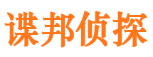 文圣市侦探公司